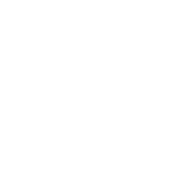 Dragon Investment Managers Logo